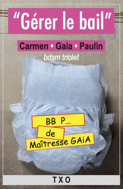 Couverture de “Gérer le Bail”